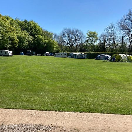 Отель Bank Top Camping-North York Moors With Pitches For Caravans, Camper Vans And Tents Пикеринг Экстерьер фото