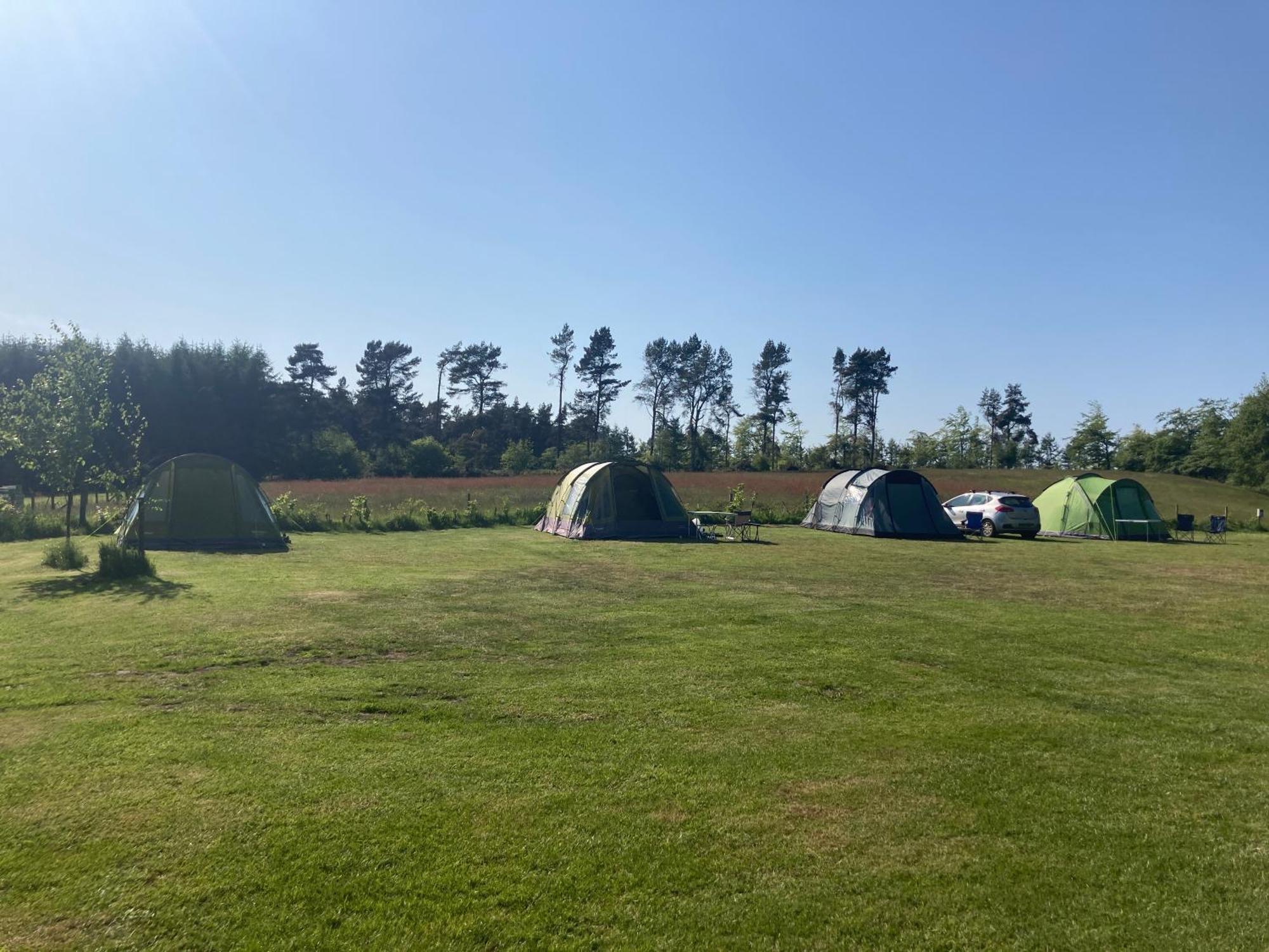 Отель Bank Top Camping-North York Moors With Pitches For Caravans, Camper Vans And Tents Пикеринг Экстерьер фото